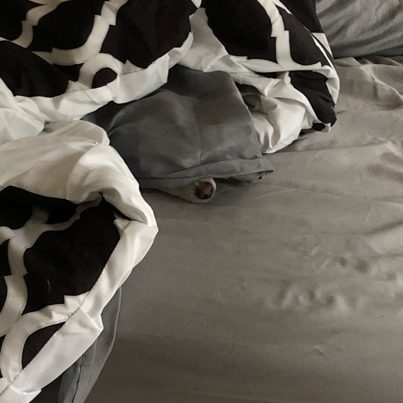 Meet your Posher, Samantha - Picture 7 of 8